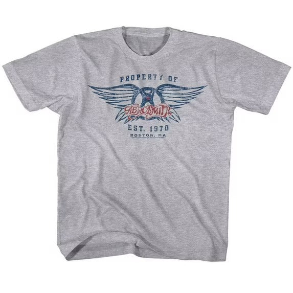 Aerosmith Youth Shirt