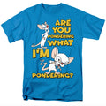 Animaniacs: Pinky and the Brain Pondering Retro Shirt