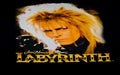 Labyrinth Jareth Youth Shirt