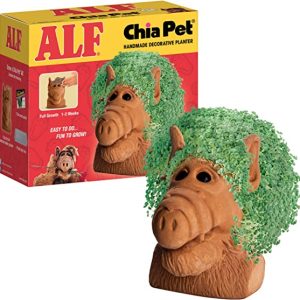 Alf Chia Pet